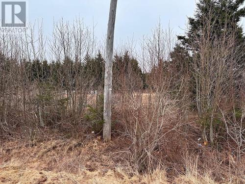 Lot 23-1 Lea Crane Boulevard, Souris, PE 