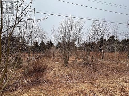 Lot 23-4 Lea Crane Boulevard, Souris, PE 