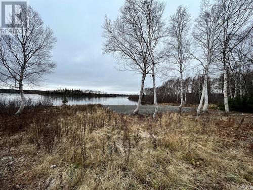 0 Number 2 Pond, Indian Bay, NL - Outdoor With View