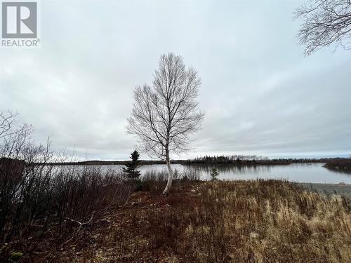 0 Number 2 Pond, Indian Bay, NL - Outdoor With View