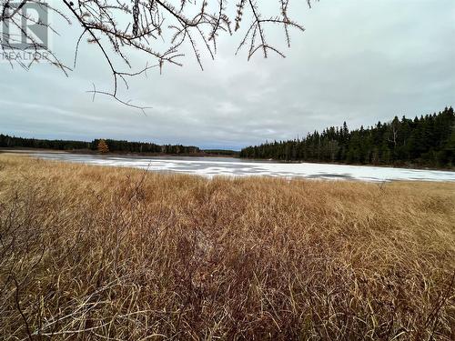 0 Number 2 Pond, Indian Bay, NL - Outdoor With View