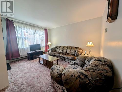 101 Clarence Street, Corner Brook, NL - Indoor Photo Showing Living Room