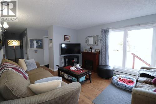 98 High Street, Deer Lake, NL - Indoor Photo Showing Living Room