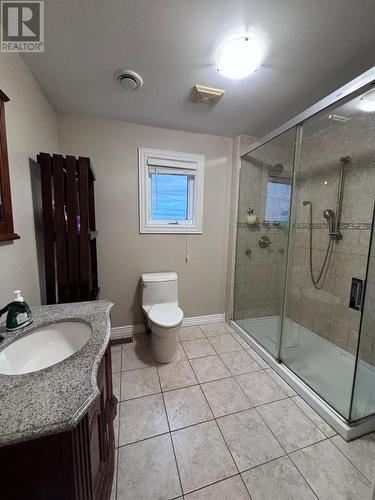 83 Freshwater Crescent, Freshwater, Placentia, NL - Indoor Photo Showing Bathroom