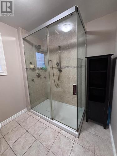 83 Freshwater Crescent, Freshwater, Placentia, NL - Indoor Photo Showing Bathroom