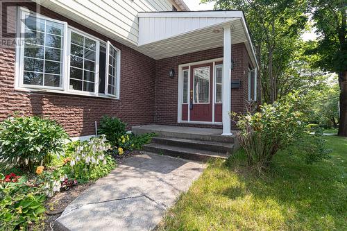 19 Cowan Avenue, St John'S, NL - Outdoor