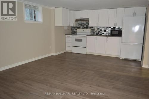 Lower - 97 Cartier Crescent, Richmond Hill, ON - Indoor Photo Showing Kitchen