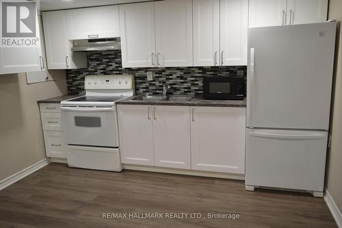 Lower - 97 Cartier Crescent, Richmond Hill, ON - Indoor Photo Showing Kitchen With Double Sink