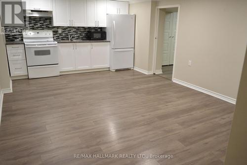 Lower - 97 Cartier Crescent, Richmond Hill, ON - Indoor Photo Showing Kitchen With Double Sink