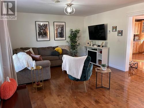 685 Oceanview Drive, Cape St. George, NL - Indoor Photo Showing Living Room