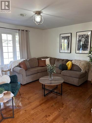 685 Oceanview Drive, Cape St. George, NL - Indoor Photo Showing Living Room