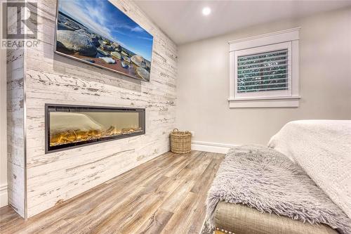 107 Monk Street, Point Edward, ON - Indoor Photo Showing Living Room With Fireplace