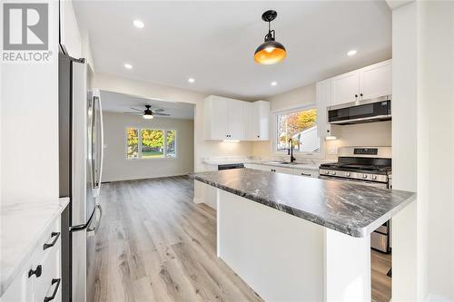 737 Albert Street, Wallaceburg, ON - Indoor Photo Showing Kitchen With Upgraded Kitchen