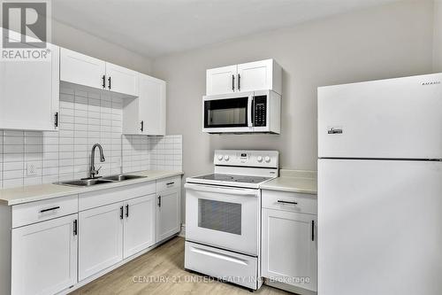 212 Park Street N, Peterborough (Downtown), ON - Indoor Photo Showing Kitchen With Double Sink