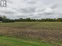 499 Isabella Street, Plympton-Wyoming, ON 