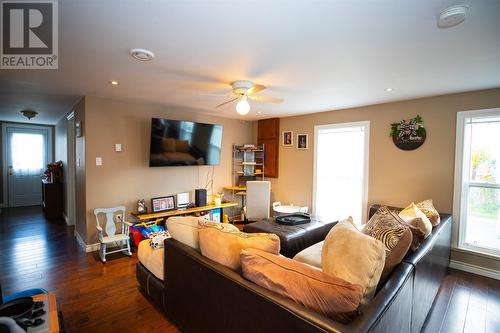 9 Belway Place, Cbs, NL - Indoor Photo Showing Living Room