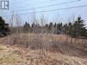 Lot 23-2 Lea Crane Boulevard, Souris, PE 