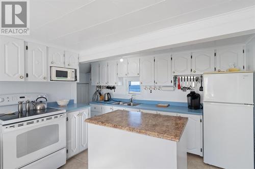 40 Main Road, Fogo Island (Joe Batts Arm), NL - Indoor Photo Showing Kitchen With Double Sink