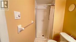 Ensuite Bathroom Shower - 