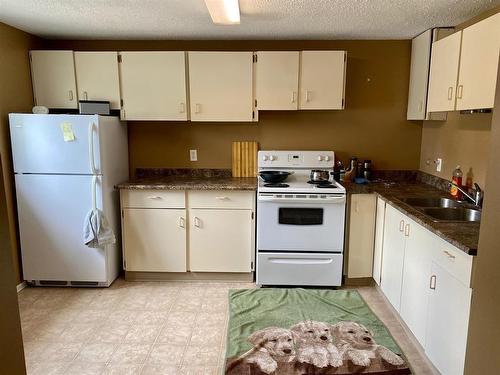 1528 Lorne Avenue, Brandon, MB - Indoor Photo Showing Kitchen With Double Sink