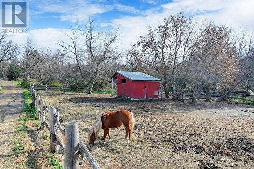 14 Distillery Street E, Kawartha Lakes, ON - Outdoor