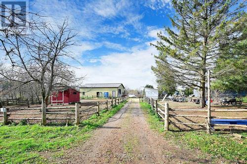 14 Distillery Street E, Kawartha Lakes, ON - Outdoor