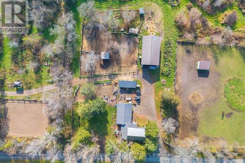 14 Distillery Street E, Kawartha Lakes, ON - Outdoor With View