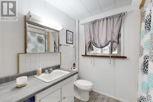 14 Distillery Street E, Kawartha Lakes, ON - Indoor Photo Showing Bathroom