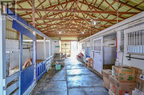 14 Distillery Street E, Kawartha Lakes, ON - Indoor Photo Showing Basement