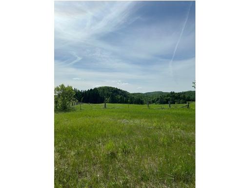 Land/Lot - 1071  - 1085 Route 317, Ripon, QC 