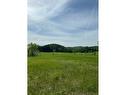 Land/Lot - 1071  - 1085 Route 317, Ripon, QC 