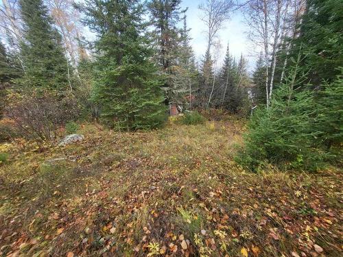 0 Polly Lake, Nipigon, ON - Outdoor