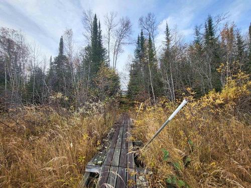 0 Polly Lake, Nipigon, ON - Outdoor With View