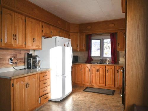 Logement - 346  - 348 Rue Kitchener, La Tuque, QC - Indoor Photo Showing Kitchen