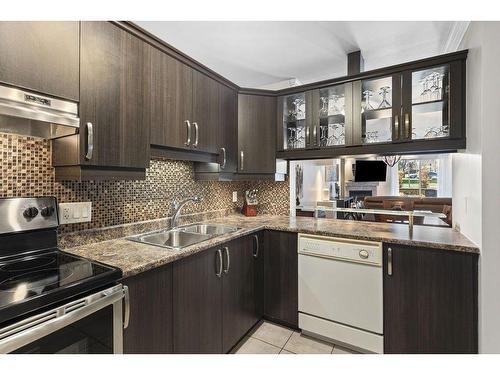 Cuisine - 102-651 Rue Jacques-Lavigne, Sainte-Thérèse, QC - Indoor Photo Showing Kitchen With Double Sink