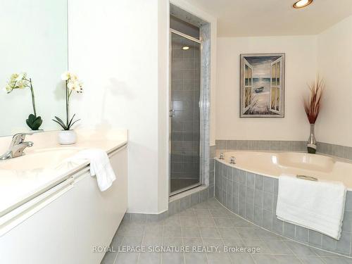 309-1200 Don Mills Rd, Toronto, ON - Indoor Photo Showing Bathroom