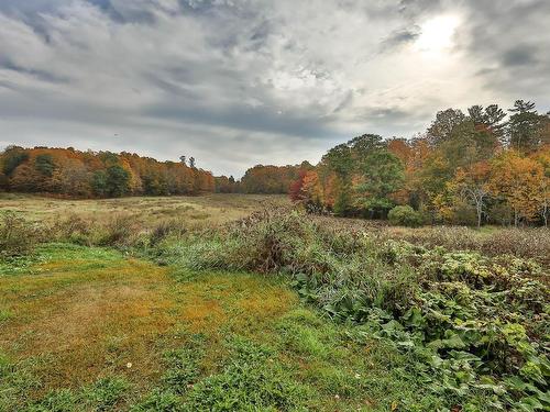 Land/Lot - 4304 Route 315, Mayo, QC 