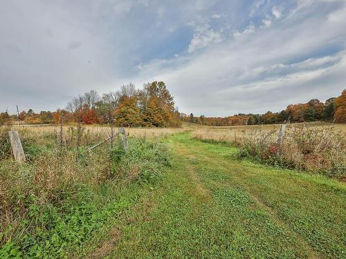 Land/Lot - 4304 Route 315, Mayo, QC 