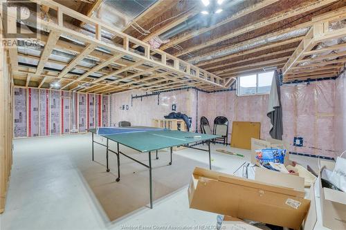 1098 Florence Avenue, Windsor, ON - Indoor Photo Showing Basement