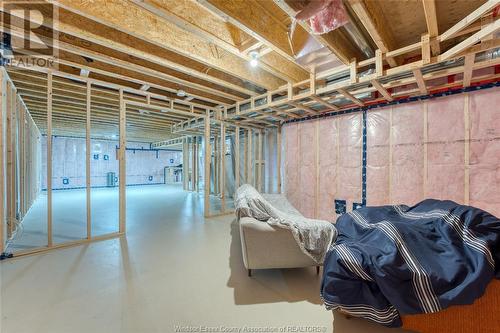 1098 Florence Avenue, Windsor, ON - Indoor Photo Showing Basement