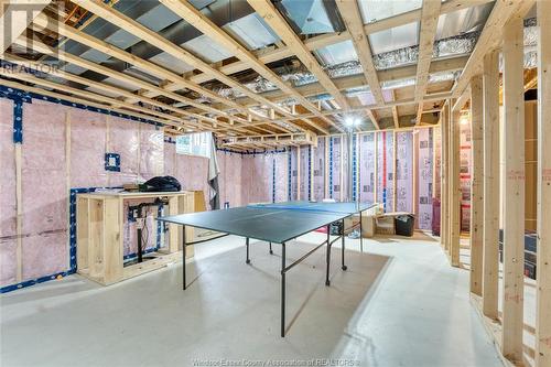 1098 Florence Avenue, Windsor, ON - Indoor Photo Showing Basement