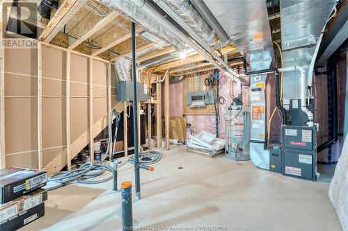 1098 Florence Avenue, Windsor, ON - Indoor Photo Showing Basement