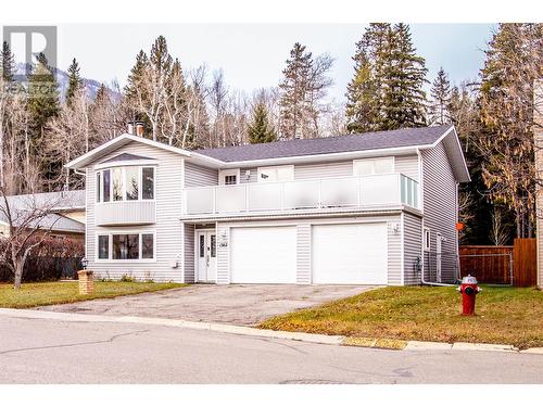 1382 Cypress Drive, Sparwood, BC - Outdoor