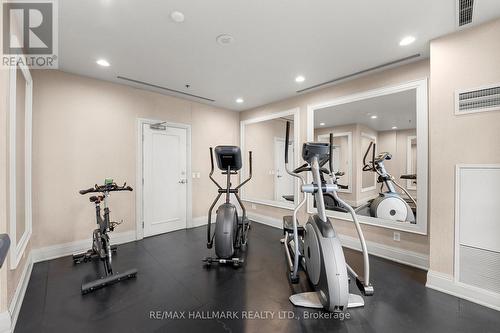 903 - 1103 Leslie Street, Toronto, ON - Indoor Photo Showing Gym Room