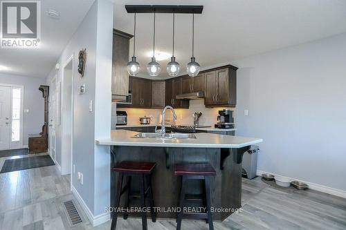 68 Peach Tree Boulevard, St. Thomas, ON - Indoor Photo Showing Kitchen With Double Sink