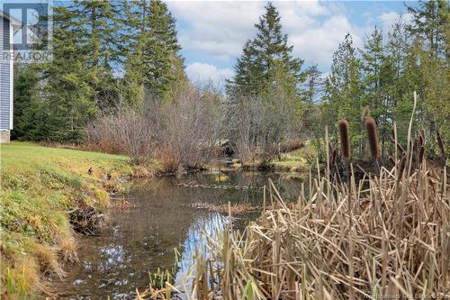 228 Norris Road, Saint John, NB - Outdoor With View