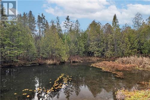 228 Norris Road, Saint John, NB - Outdoor With View