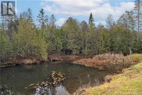 228 Norris Road, Saint John, NB - Outdoor With View