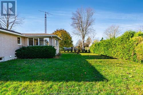 53 David Street, Ridgetown, ON - Outdoor