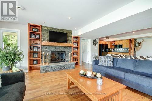 639 Brethour Road, Hastings Highlands, ON - Indoor Photo Showing Living Room With Fireplace